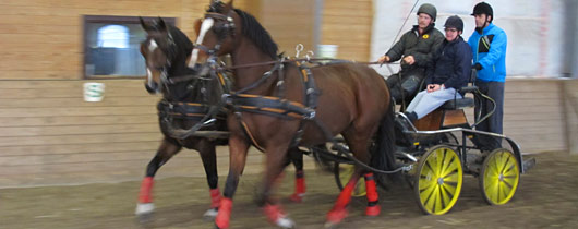 Körning med häst och vagn par