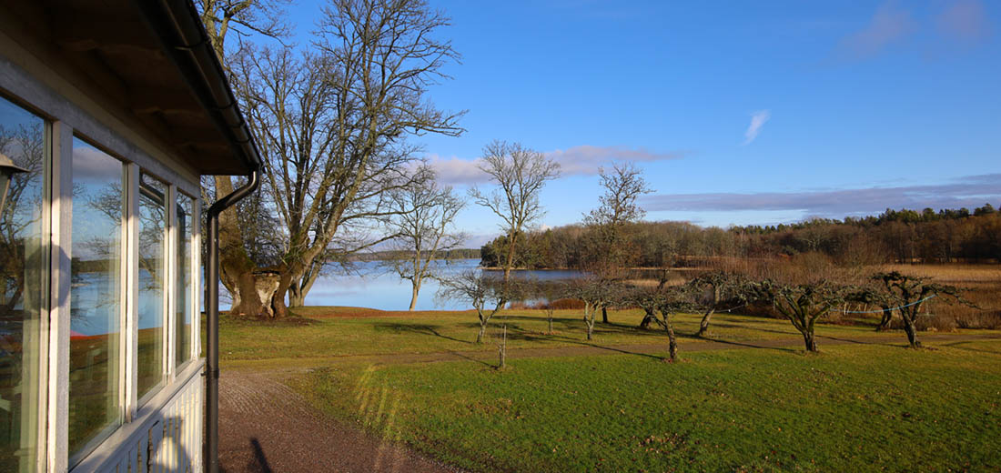 Utsikten över sjön och asken Yggdrasil