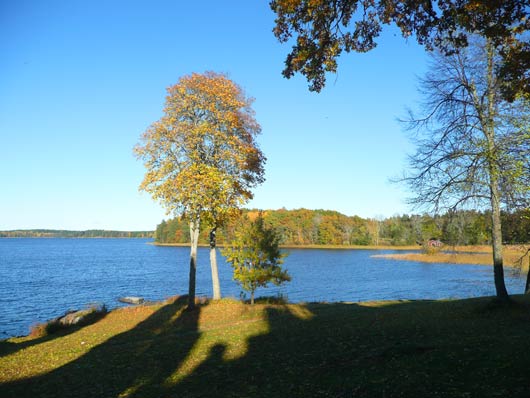 Utsikt över Båven sjö vatten