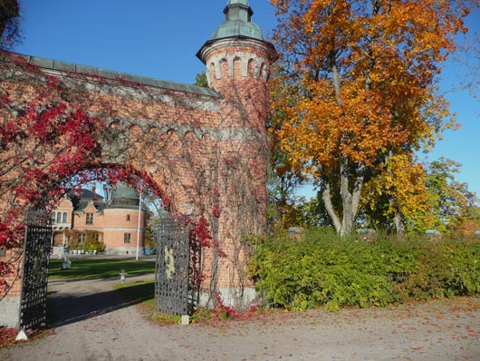 Slottsportalen närbild vildvin höstlöv