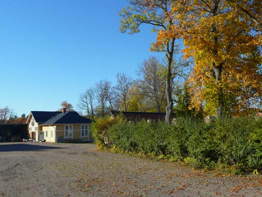 Gula paviljongen blå himmel