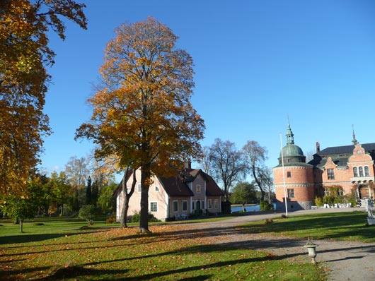 Del av slott samt flygel i höstskrud