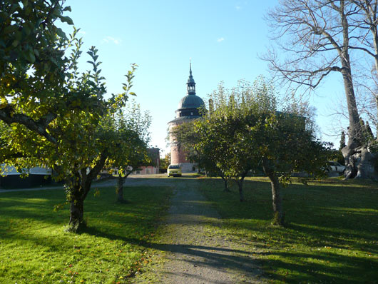 Äppelträd och slottstorn