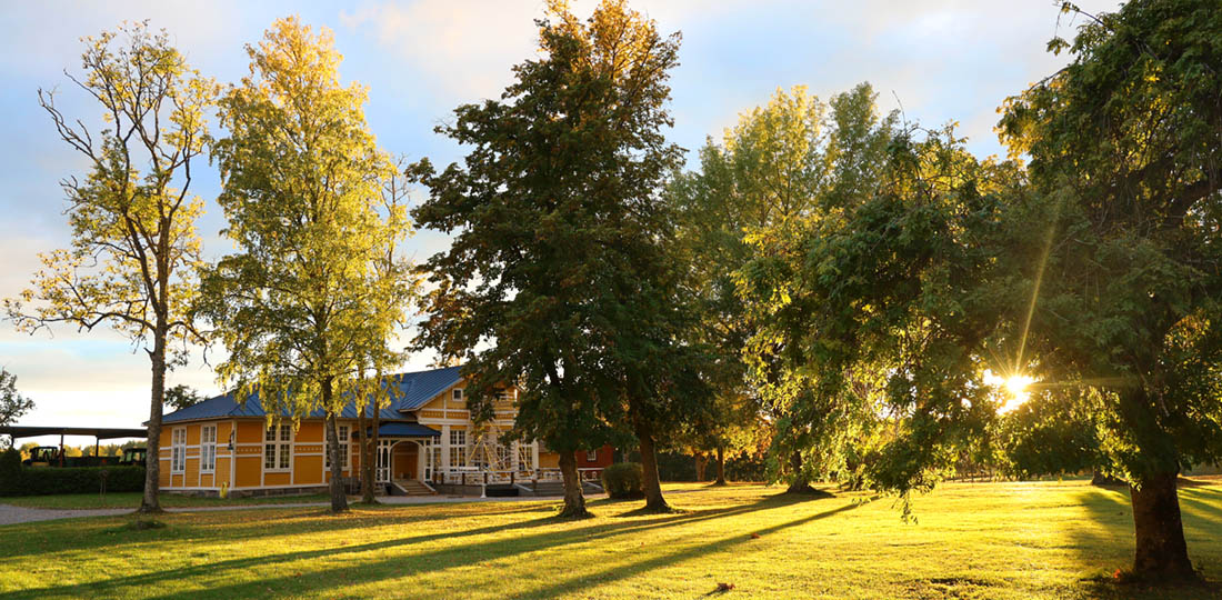 Gula paviljongen med höstsolen som skiner genom träden