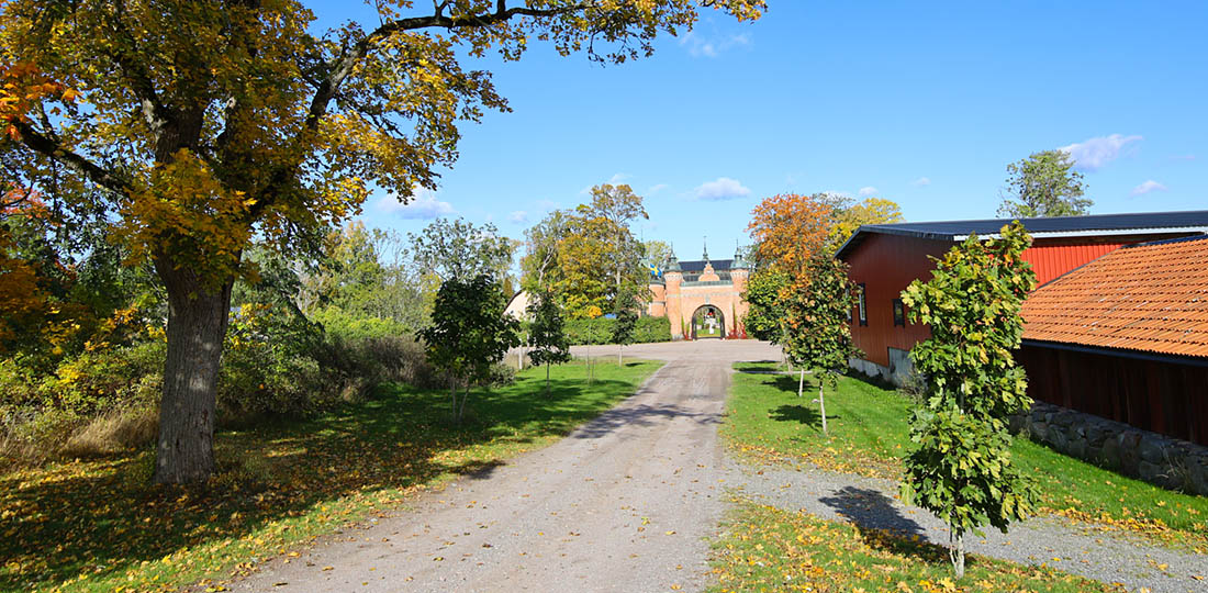 Allé av lönnar slottsportal